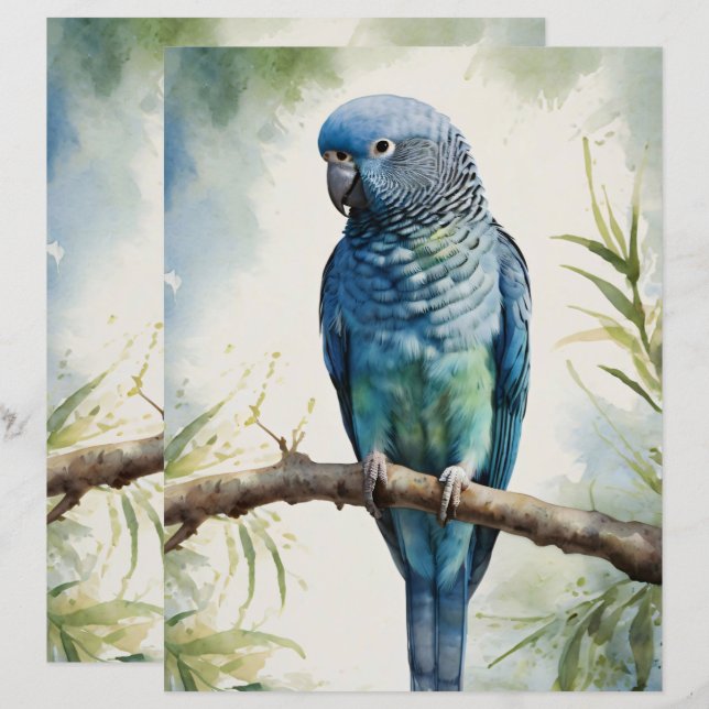Watercolor Parakeet Eukalyptus Scrapbook Paper (Vorne/Hinten)
