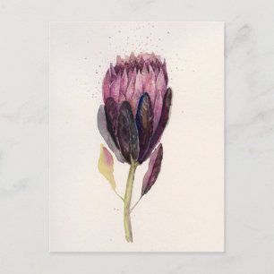 Watercolor Protea Postkarte