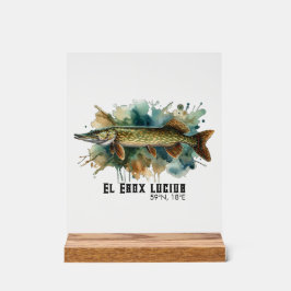 Watercolor Series: Pike Acrylschild