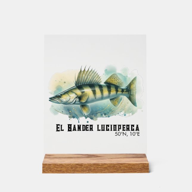 Watercolor Series: Zander/Walleye Acrylschild (Vorderseite)