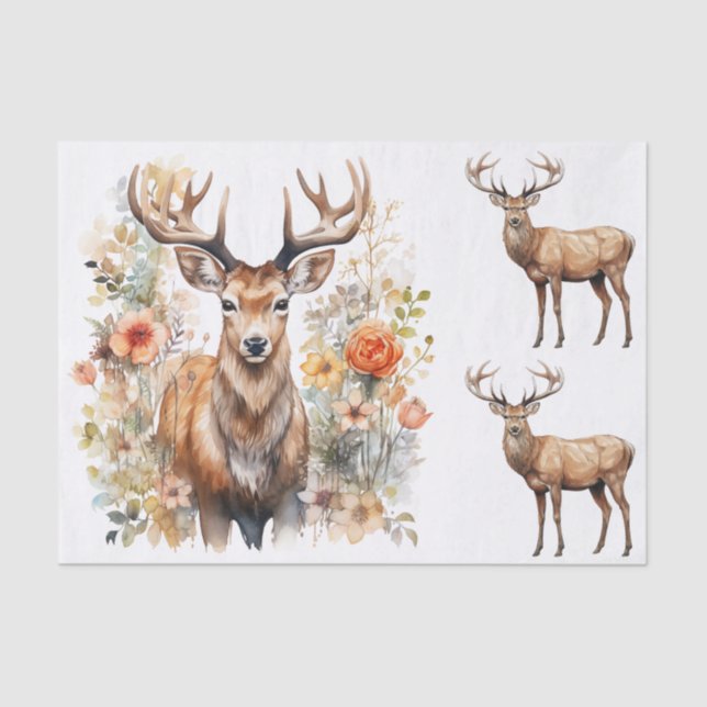 Watercolor Style Illustrations of Male Deer Bucks Seidenpapier (Vorderseite)