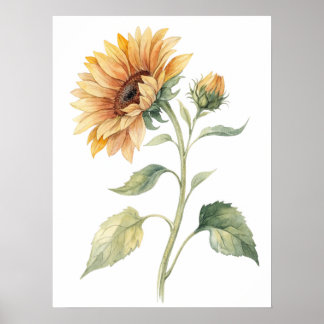 Watercolor Sunflower Wall Art Print Poster