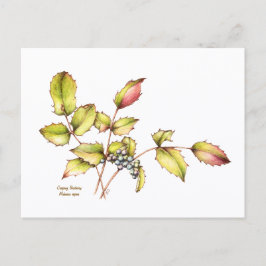 Watercolor wildflower barberry postcard postkarte