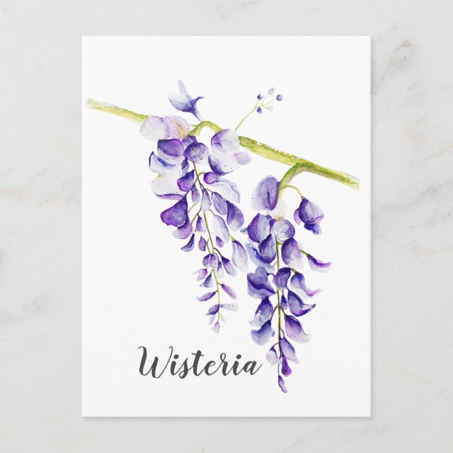 Watercolor Wisteria Locarno Postkarte (Vorderseite)