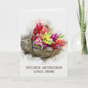 Watercolour Blooms   Snapdragon Witty Muttertag Feiertagskarte