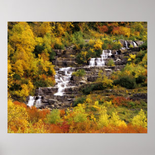 Waterfall below Mt Cannon in Glacier National Poster