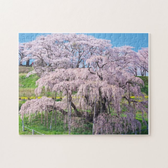 waterfall cherry blossom tree puzzle (Horizontal)