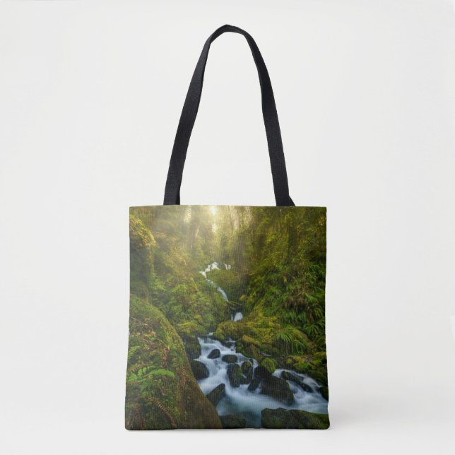 Waterfalls | Olympic National Park, Washington (Vorderseite)