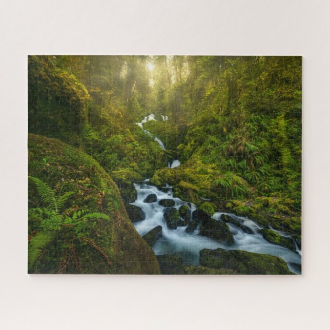 Waterfalls | Olympic National Park, Washington Puzzle (Horizontal)