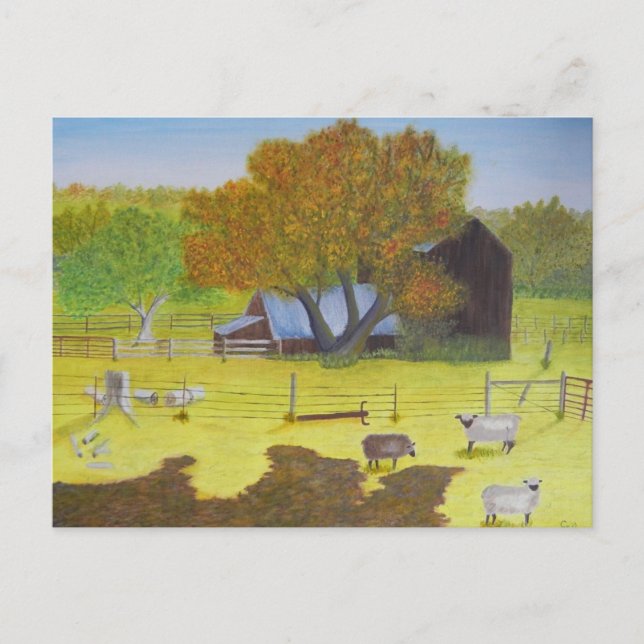 Waterford Barn & Sheep Postkarte (Vorderseite)