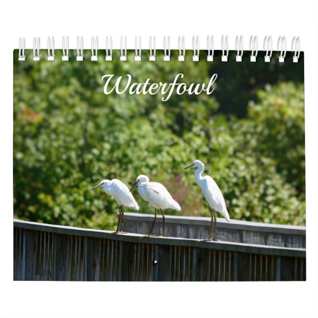 Waterfowl-Kalender Kalender (Titelbild)