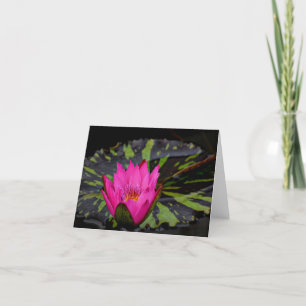 Waterlilly Blanc notecard Dankeskarte