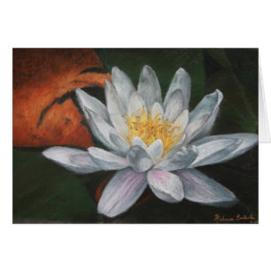 Waterlilly mit toter Auflage