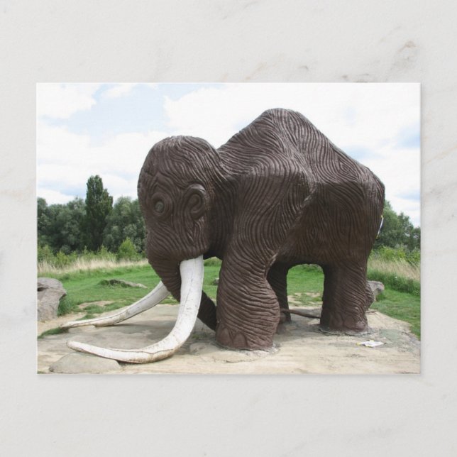 Watermead Country Park Postkarte (Vorderseite)