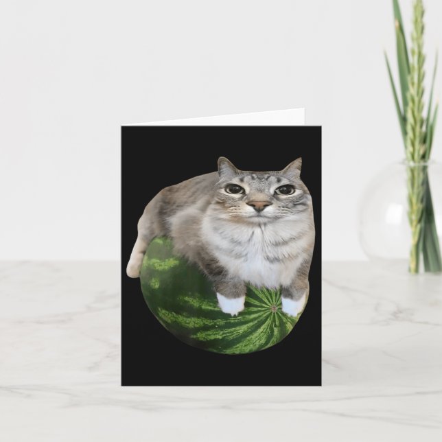 Watermelon Cat Albern Cat Meme Karte (Vorderseite)