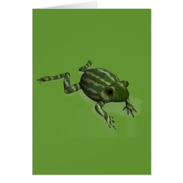 Watermelon Frog (Vorne)
