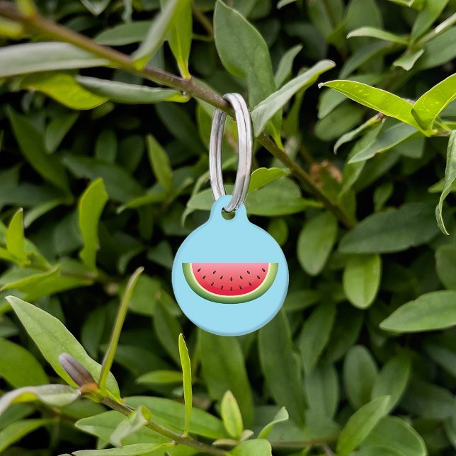 Watermelon Fruit Slice On Blue mit Hundinfo Tiernamensmarke (Von Creator hochgeladen)
