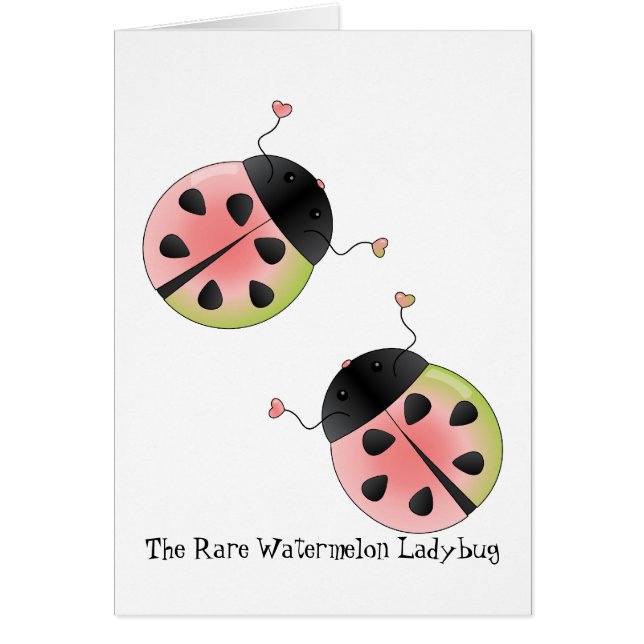Watermelon Ladybug (Vorne)