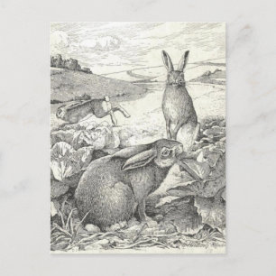 Watership Down Postkarte