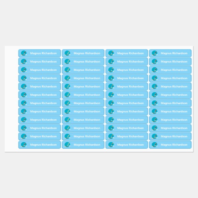 Waterski im Vintagen Stil Etiketten (Blatt)