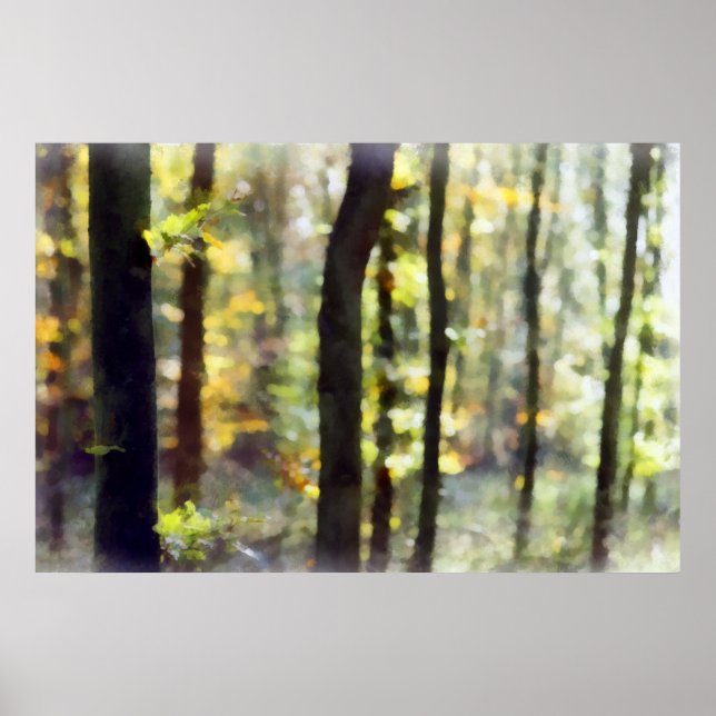 Watery Woods Poster (Vorne)