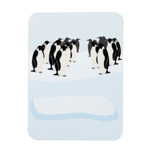 Watscheln von Pinguinen Magnet
