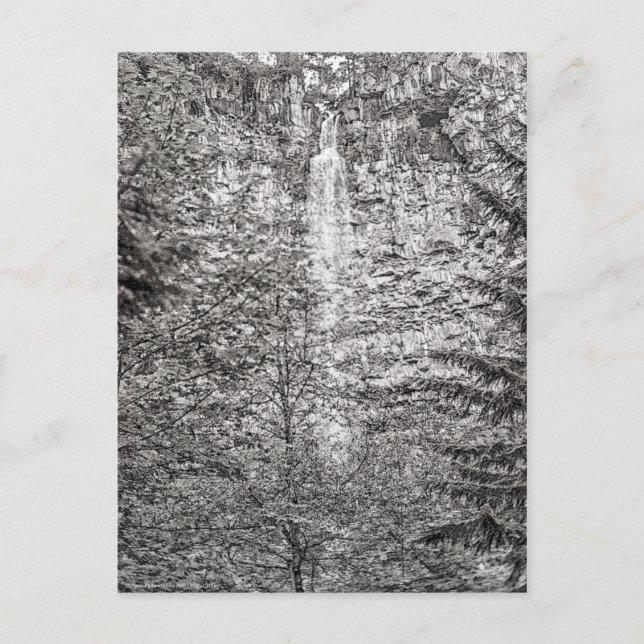 Watson Falls Postkarte (Vorderseite)