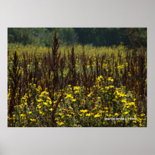 Watsonville Fields von Van Gogh II Poster