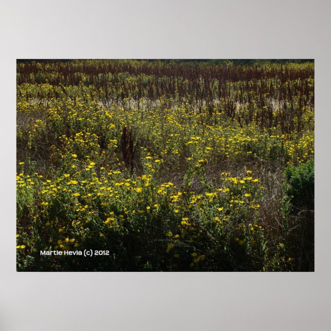 Watsonville Fields von Van Gogh Poster (Vorne)