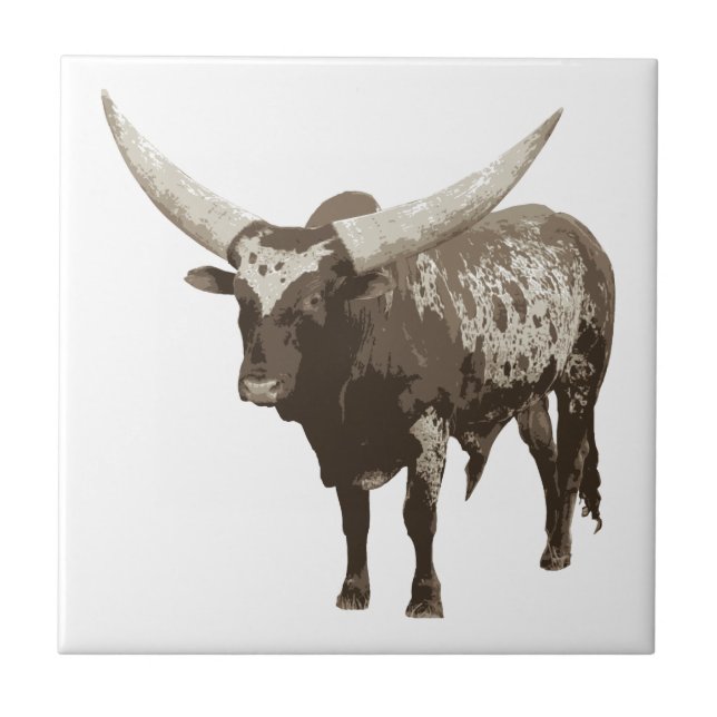 Watusi Cow Fliese (Vorderseite)