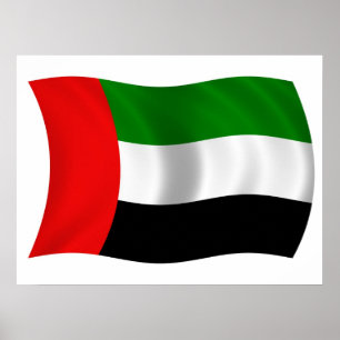 Wave UAE Flag Poster