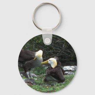 Waved Albatross in Courship Schlüsselanhänger