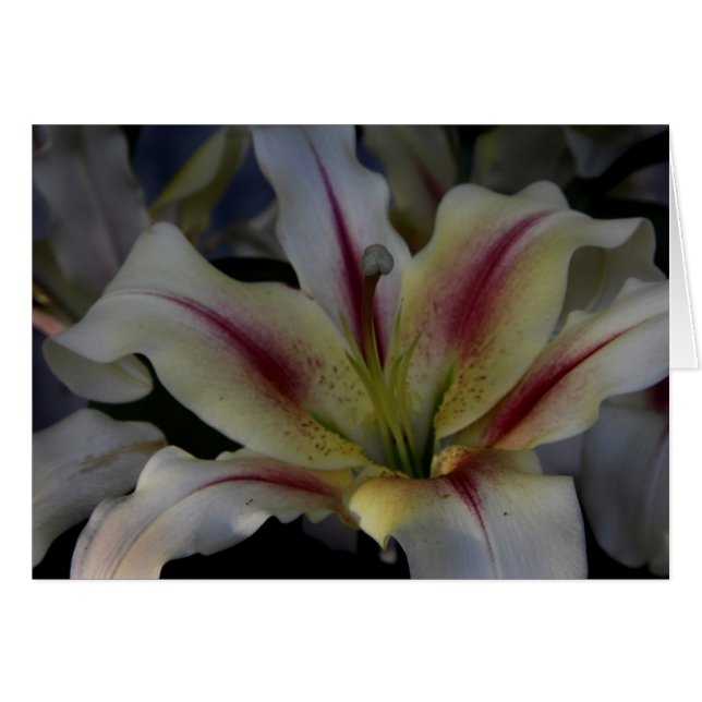 Waves (Vorderseite (Horizontal))