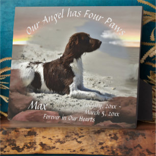 Waves and Boulders Pet Memorial 0893 Fotoplatte