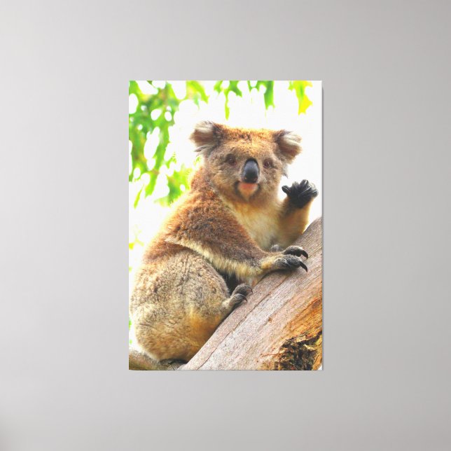 WAVING KOALA 40x60 Leinwanddruck (Vorderseite)