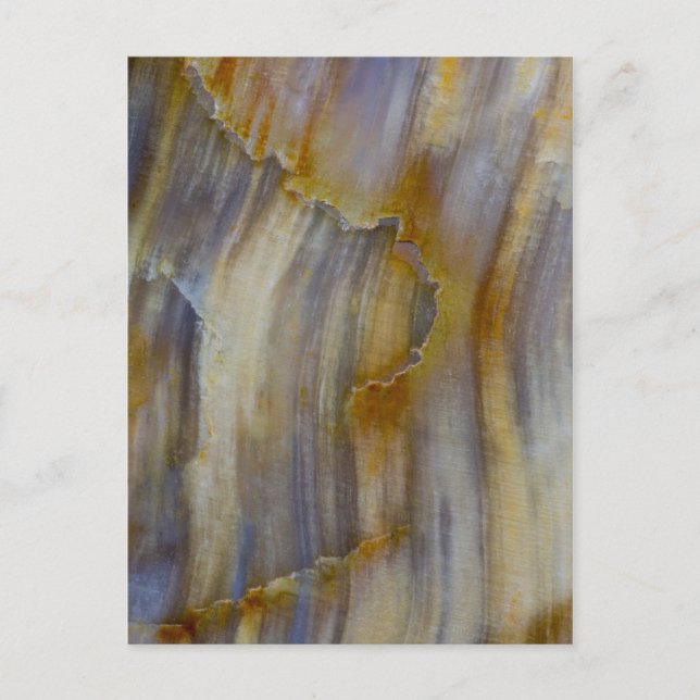 Wavy Petrified Wood Postkarte (Vorderseite)