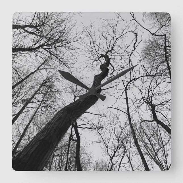 Wavy_Tree_Clock Quadratische Wanduhr (Vorderseite)