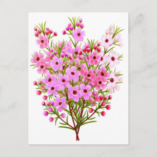 Wax Blume Bouquet Postcard Postkarte