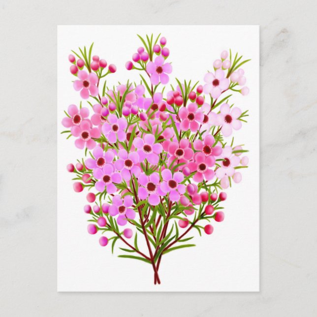 Wax Blume Bouquet Postcard Postkarte (Vorderseite)