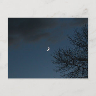 Waxing Crescent Moon in Sagittarius Postkarte