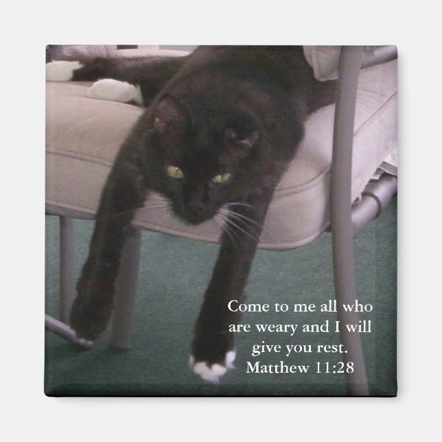 Weary Mr. B magnet (Vorne)