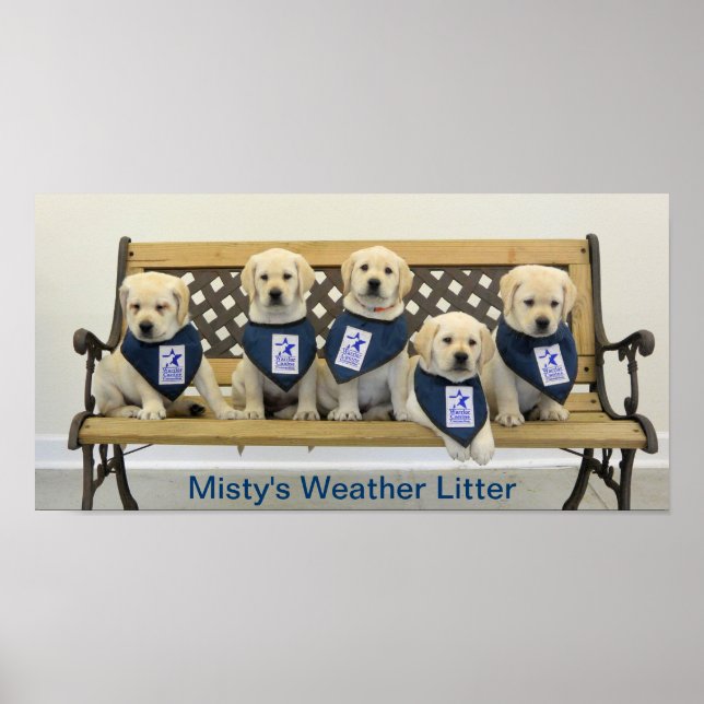 Weather Bench Poster (Vorne)