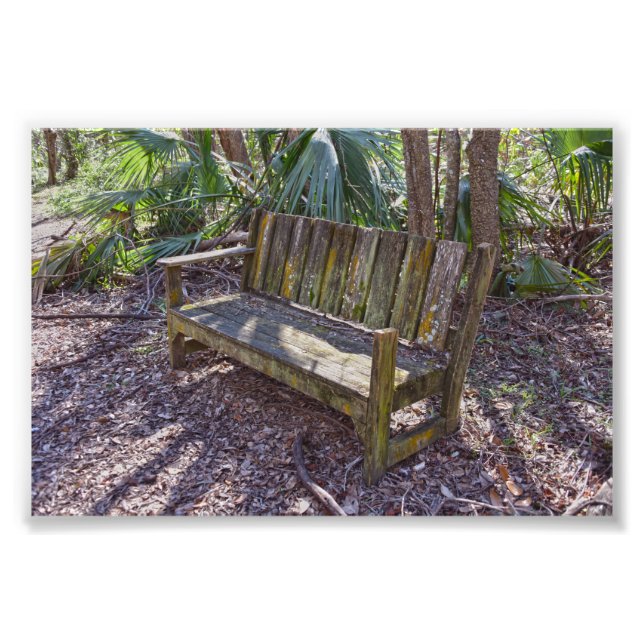 Weathered Park Bench, Dauphin Island Fotodruck (Vorne)