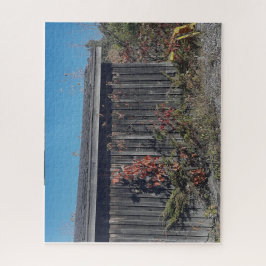 Weathered Shed with Encroaching Green Puzzle