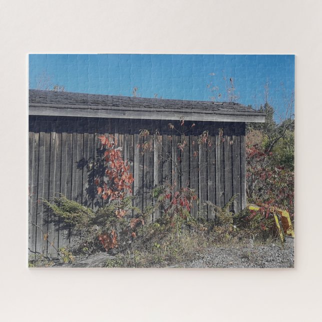 Weathered Shed with Encroaching Green Puzzle (Horizontal)