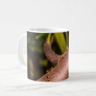 Weaver Ants on a Wood Kaffeetasse