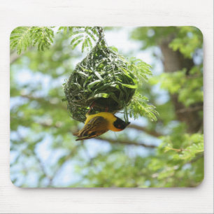 Weaver bird, Nest, Kalahari Wüste Mousepad