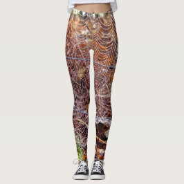 Web der Leggings