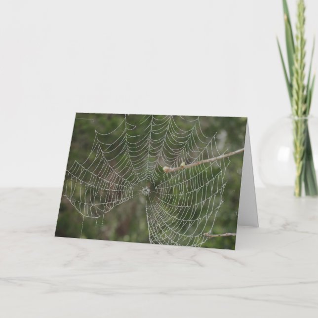 Web heilen karte (Vorderseite)