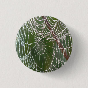 Web - Schaltfläche Button